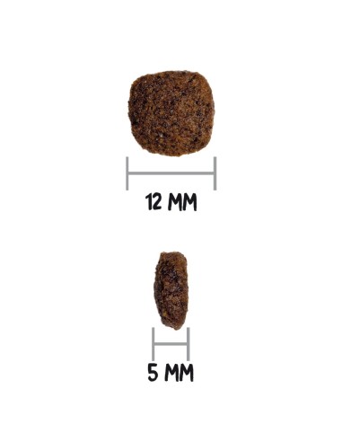 Ownat Chien Ultra Medium Junior 12kg
