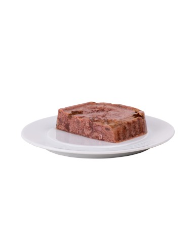 Terrine Chat Senior Riche en Poisson barquette 85g