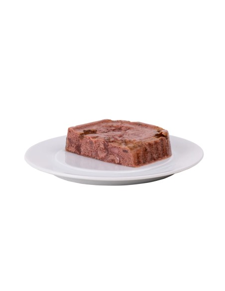Terrine Chat Senior Riche en Poisson barquette 85g
