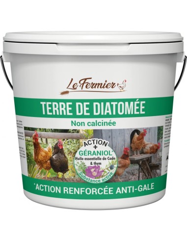 Terre de Diatomée Anti-Gale 370Gr