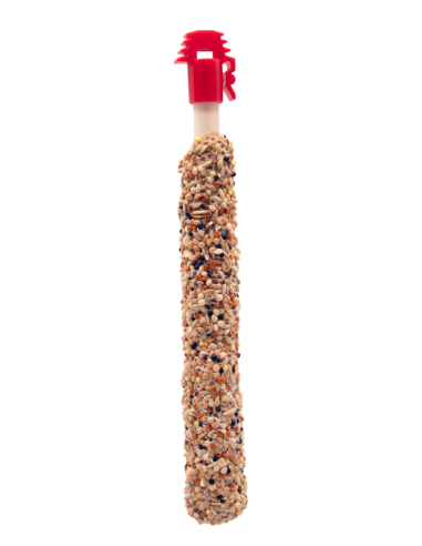 Sticks Perroquets Noix et Raisins 60Gr