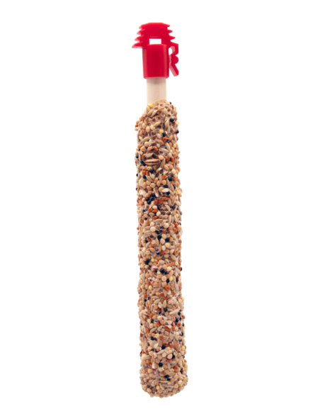 Sticks Perroquets Noix et Raisins 60Gr