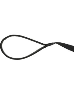 Laisse à Pister Coton, M–L: 10m/20mm, Noire 2