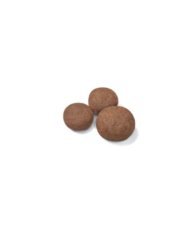 Puppy Medium - 12Kg - Royal Canin - Croquettes...