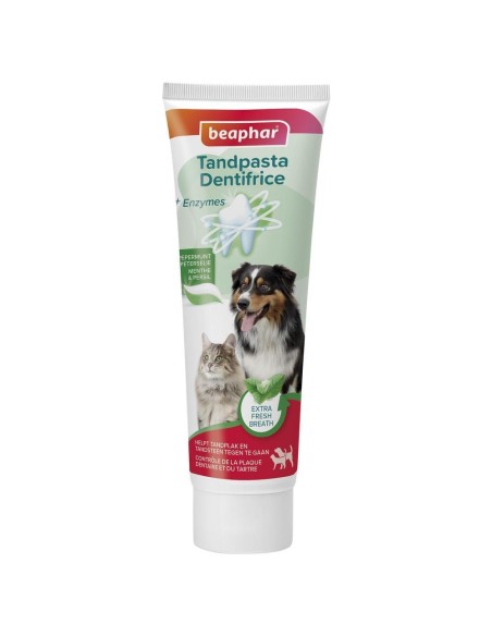 Dentifrice Menthe-Persil 100Gr