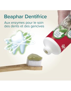 Dentifrice Menthe-Persil 100Gr 2