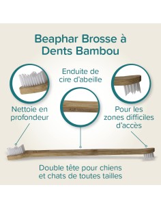 Brosse à Dents en Bambou 2