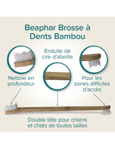 Brosse à Dents en Bambou
