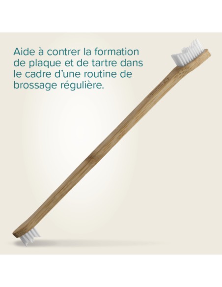 Brosse à Dents en Bambou