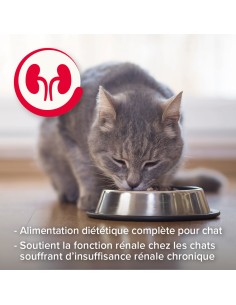 Patées RENAL Chats Multipack 6x100Gr 2