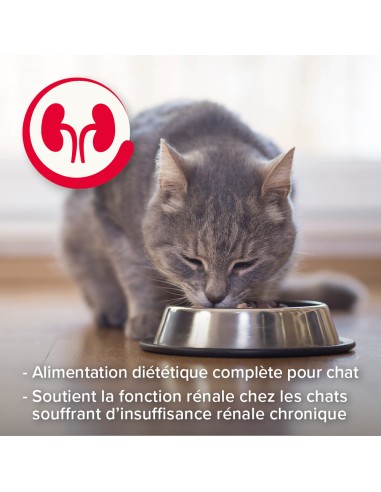 Patées RENAL Chats Multipack 6x100Gr