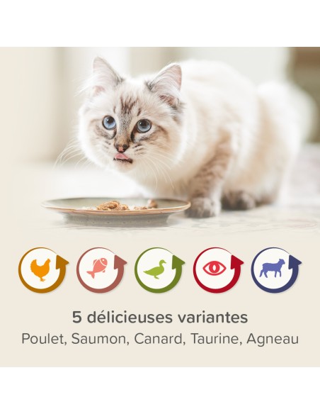 Patées RENAL Chats Multipack 6x100Gr