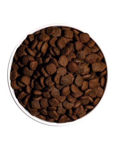 Ownat Chien Ultra Medium Agneau 12kg