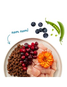 SANABELLE Kitten Volaille 2