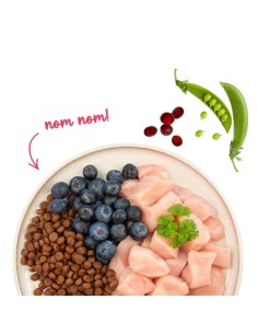 SANABELLE Adult Volaille 2