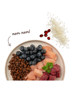 SANABELLE Sensitive Agneau 2