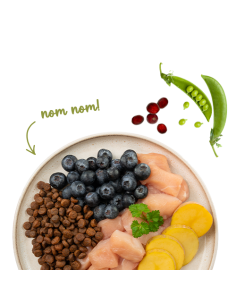 SANABELLE No Grain Volaille 2