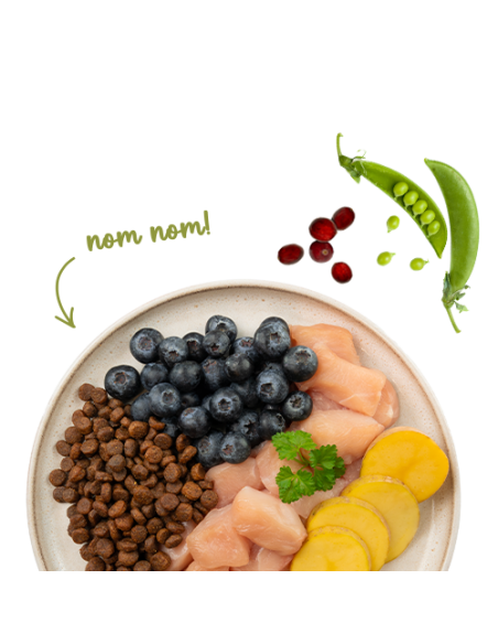 SANABELLE No Grain Volaille