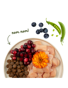 SANABELLE GRANDE  Volaille 2