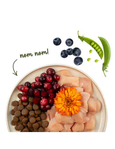 SANABELLE GRANDE  Volaille