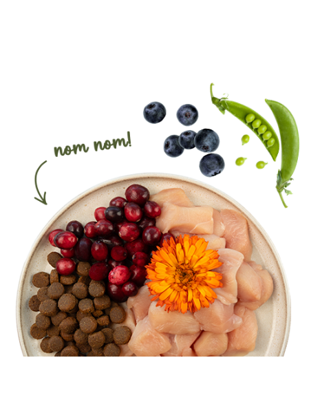 SANABELLE GRANDE  Volaille