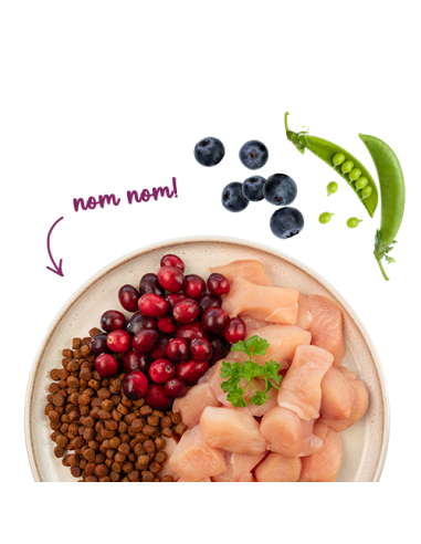 SANABELLE Senior Volaille