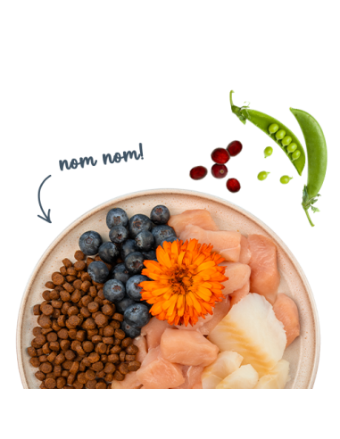 SANABELLE Adult Truite