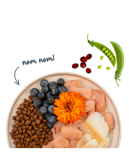 SANABELLE Adult Truite