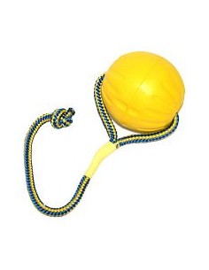 Everlasting Swing Nfling L