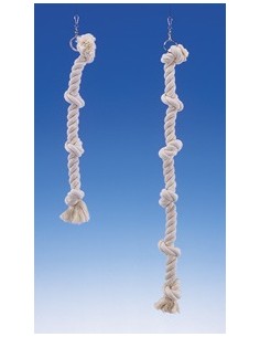 Corde oiseaux 6 noeuds 100cm