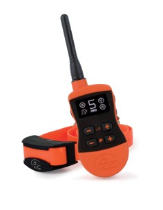 Collier Dressage Sportdog 800M - SD-875-E