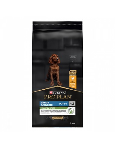 Large Athletic Puppy 12Kg - Pro Plan -...