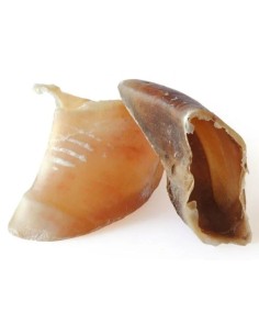 Sabot de Veau - Friandises petits et moyens chiens et aux...