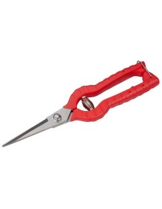 Ciseaux de Jardin Rouges