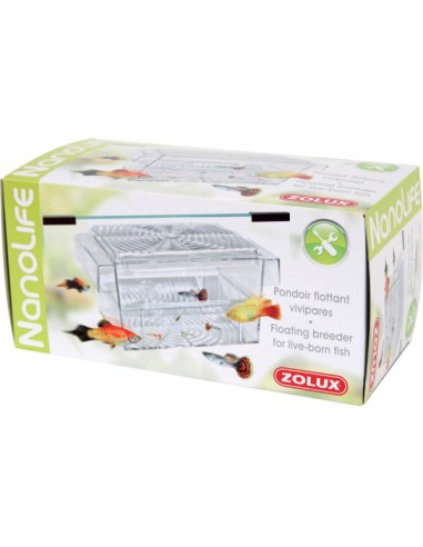 Pondoir Flottant Vivipares