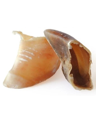 Sabot de Veau - Friandises petits et moyens...