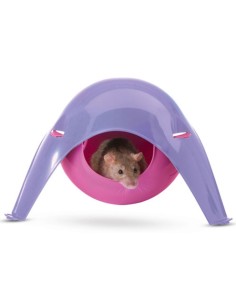 Sputnik XL Maison Rongeurs Couleurs Aléatoires