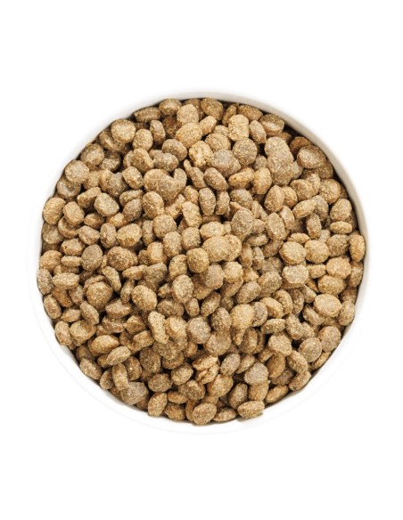 Ownat Author Agneau et Porc Frais 3Kg