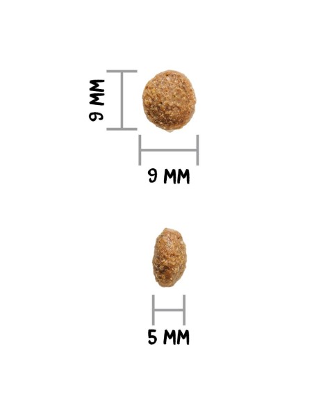 Ownat Author Agneau et Porc Frais 3Kg