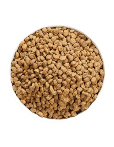 Ownat Author Chat Poissons et Poulet Frais 3Kg