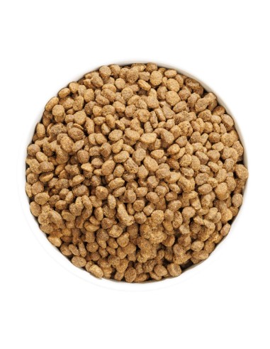 Ownat Author Chat Sterilise Poulet Frais 3Kg