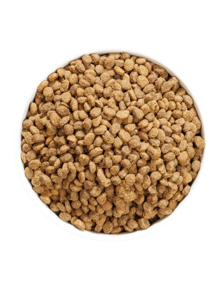 Ownat Author Chat Sterilise Poulet Frais 3Kg