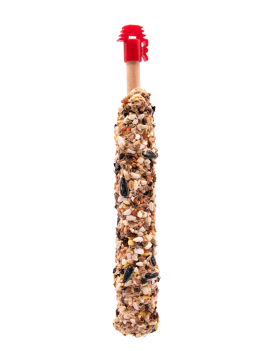 Sticks Gdes Perruches Noix et Raisins 60Gr