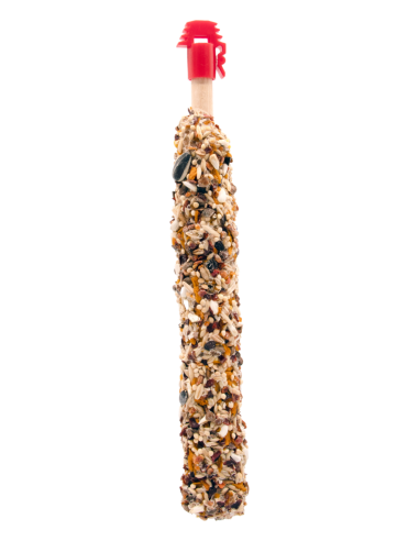 Sticks Gdes Perruches Mangue et Eglantine 70Gr