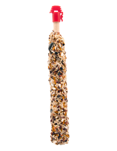 Sticks Gdes Perruches Mangue et Eglantine 70Gr