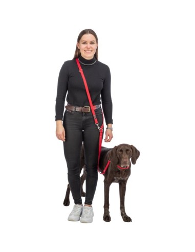 Laisse Réglable 3 Positions 2M 20Mm Noir