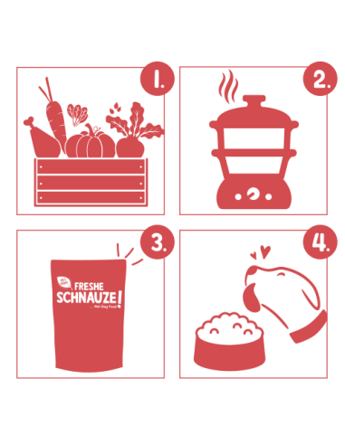 Bosch Frais Boeuf Millet Betteraves 250Gr