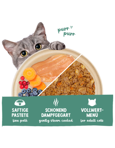 Sanabelle Frais Truite Dinde et Poulet 100Gr