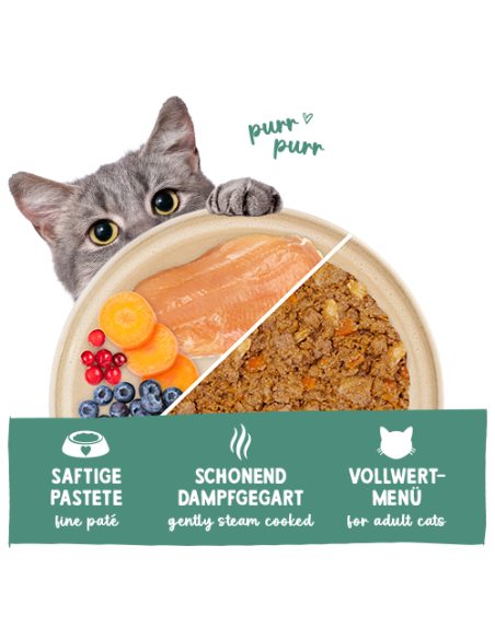 Sanabelle Frais Truite Dinde et Poulet 100Gr