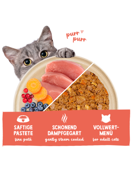 Sanabelle Frais Dinde et Poulet 100Gr